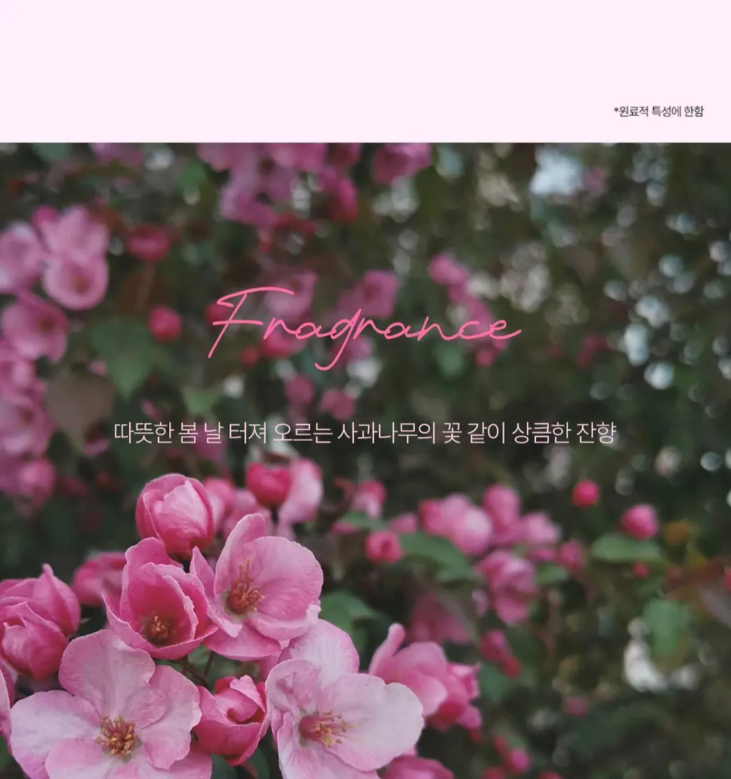 [보습/저자극/진정] 펨프레쉬 여성청결제 250ml 2종 택1(수딩워시,액티브워시) 상세페이지 30